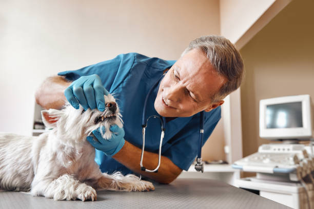 Best Emergency Broken Tooth Repair in Lakeview, OR